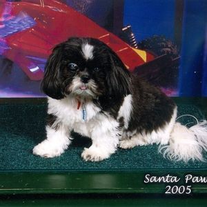 Meet your Posher, Gail